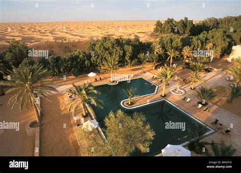 Tunisia Ksar Ghilane Oasis Sahara Desert Swimming Pool Of Hotel