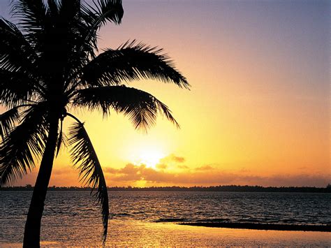 Download Sunset Island Wallpaper By Hectorlong Island Sunset