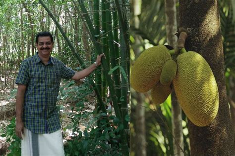 Meet The Man Who Got Kerala Govt To Declare Jackfruit As The States