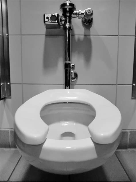 Automatic Flushing Toilets Are The Root Of All Evil