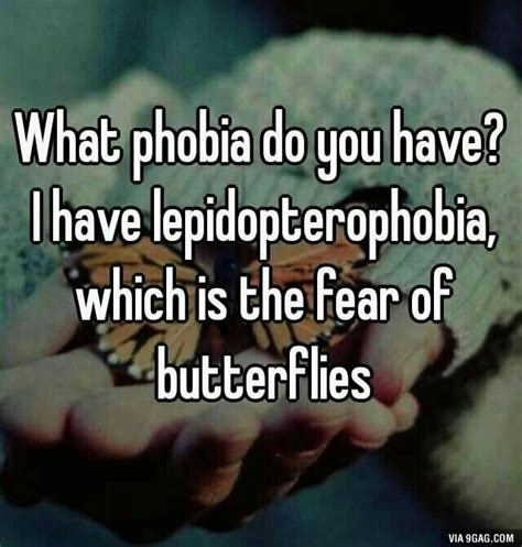 Pin By Suraindran On Random Stuffz Funny Phobias Funny Memes Phobias