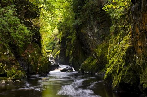 Fairy Glen A Secluded Mossy Gorge In North Wales 2048×1360