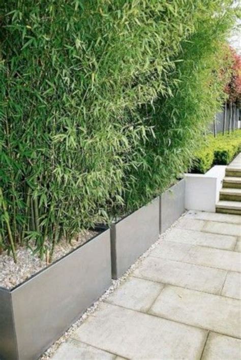 Marvelous Incredible 25 Privacy Wall Planter Design Ideas Https