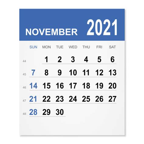 5700 November 2021 Calendar Illustrations Royalty Free Vector