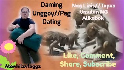 Daming Unggoy Pag Dating Nag Linistapos Umulan Ng Alikabok