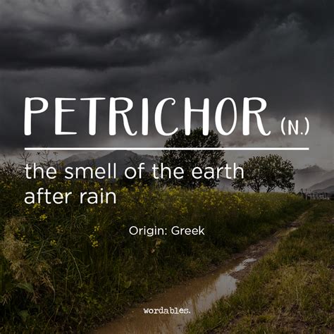 A Scientific Word Petrichor Is Derived From The Greek Word For Stone