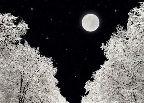 3300 Full Moon Snow Stock Photos Pictures And Royalty Free Images Istock