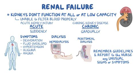 Urinary System Renal Failure Osmosis Video Library