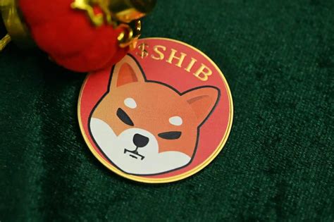 Shiba Inu's Meteoric Rise: 353% Surge in 2.6 Trillion SHIB Transactions