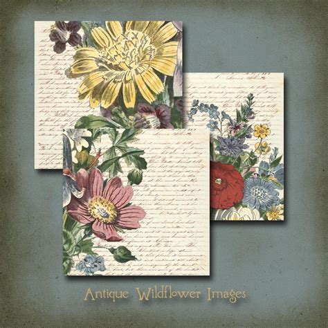 Antique Wildflowers Vintage Images Instant Digital Download