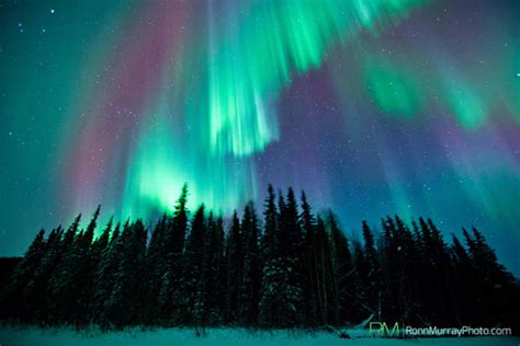 Alaskas Northern Lights Cbs News