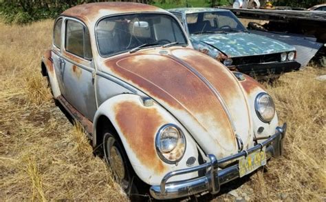 Restoration Project 1966 Volkswagen Beetle Barn Finds