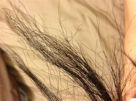 Dry and brittle hair is common in men and women of all ages. Why is your hair BREAKING OFF? and what to do about it!