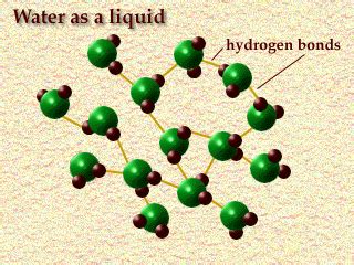 The equation we must solve is n molecules / 6.0221415×10²³ molecules = 0.01410878 g / 18.01528 g this gives us n = 4.716278×10²⁰ molecules. BIOdotEDU