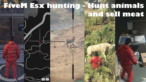 Gta V Fivem Esx Hunting Hunt Animals And Sell Meat Youtube