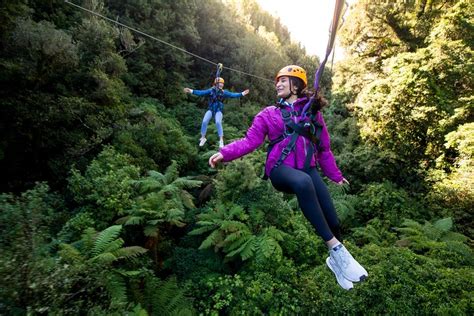 ziplining forest experience the ultimate canopy tour rotorua