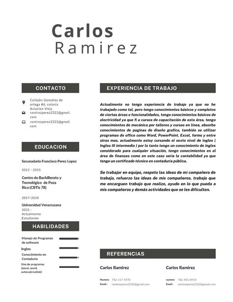 Curriculum Vitae Carlos Ramirez Contacto Educacion Callejón