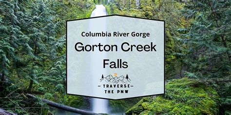 Gorton Creek Falls Hike Columbia River Gorge Oregon
