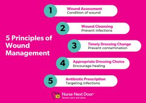 The Principles Of Wound Management