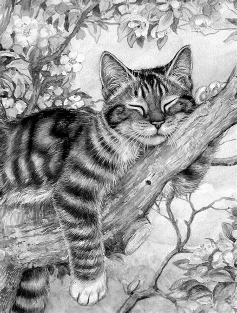 Cat In Tree Cats Art Drawing Pencil Drawings Of Animals Cat Drawing
