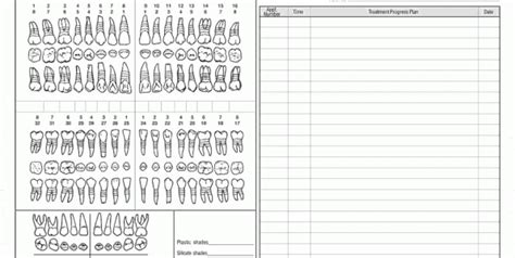 Perio Charting Template