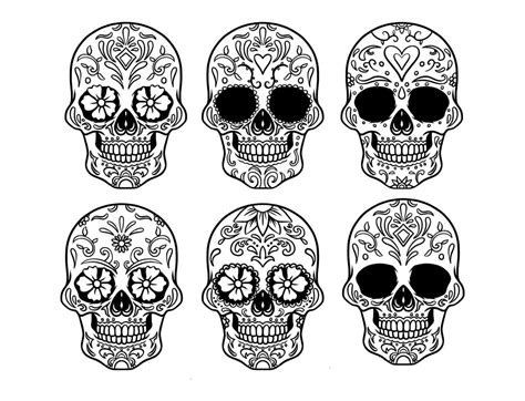 Vector Mexican Skulls With Patterns 11737870 Vector Art At Vecteezy