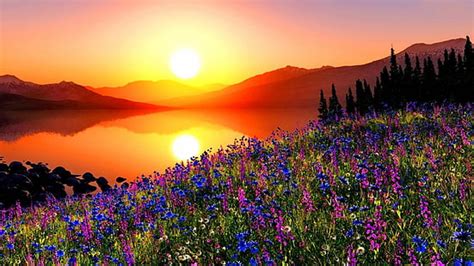 Hd Wallpaper Spring Flowers Mountain Lake Hills Red Cloud Sunset Hd