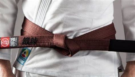 Bjj Brown Belt Requirements And Curriculum Bjj World