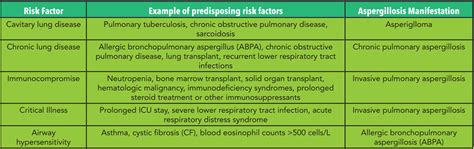 Annals Of B Pod Aspergilloma — Taming The Sru