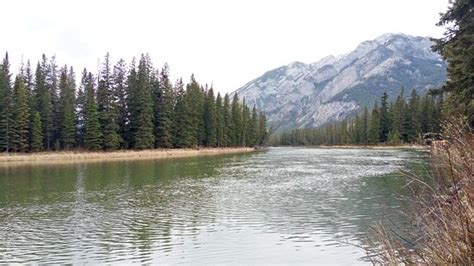 Bow River Trail Banff 2019 All You Need To Know Before