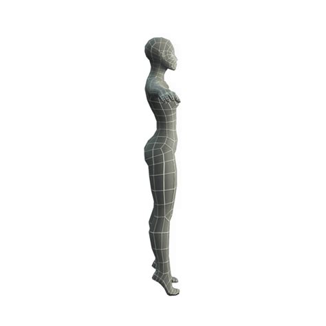 Female Custom Base Mesh 3d Model Telegraph