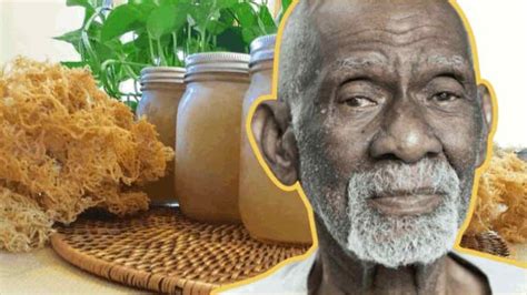 dr sebi sea moss benefits and facts famous