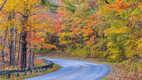 Blue Ridge Parkway Fall Colors In North Carolina Asheville 34650