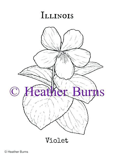 Search through 623,989 free printable colorings at getcolorings. Violet Flower Drawing at GetDrawings | Free download
