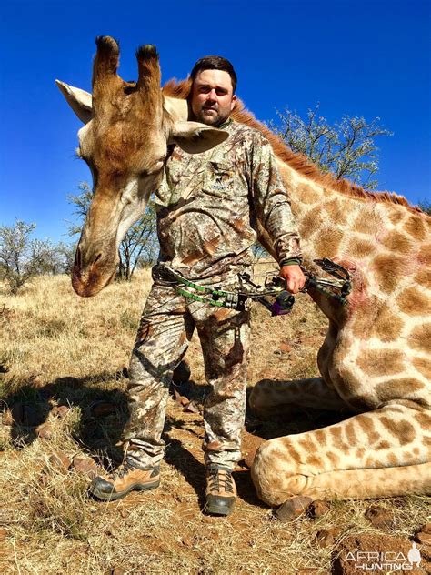 Giraffe Bow Hunt South Africa