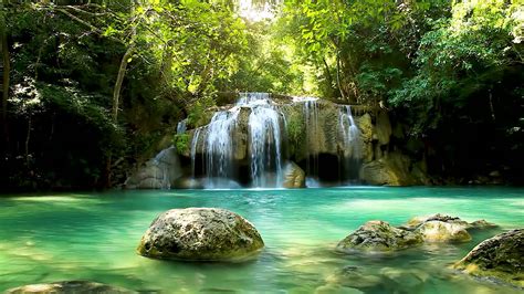Calming Amazing Jungle Waterfall Relaxing White Noise Waterfall Sleep