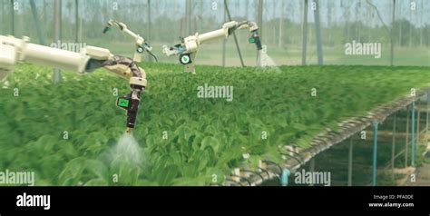 Smart Robotic In Agriculture Futuristic Concept Robot Farmers
