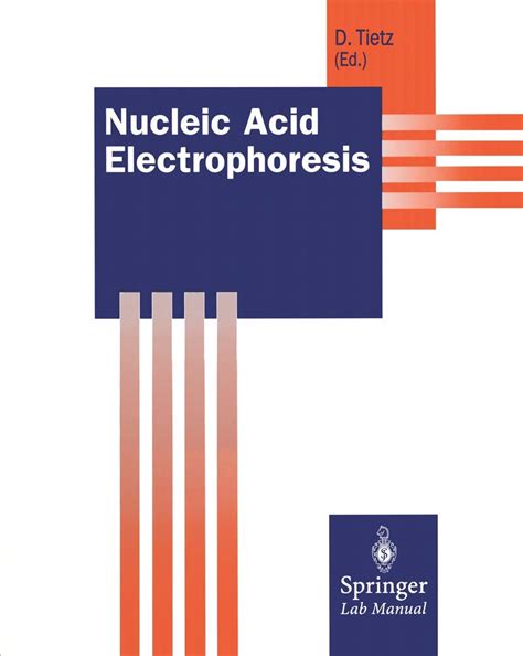 Buy Nucleic Acid Electrophoresis Springer Lab Manuals Book Online At Low Prices In India