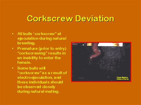 Corkscrew Deviation