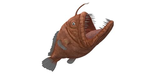 Angler Fish Isolated On A Transparent Background 30723779 Png