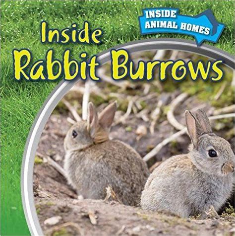 Inside Rabbit Burrows By Liz Chung Rabbit Burrow Rabbit Animals