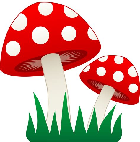 Free Fungi Cliparts Download Free Fungi Cliparts Png Images Free ClipArts On Clipart Library