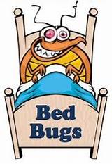 Bed Bug Treatment Guidelines Pictures