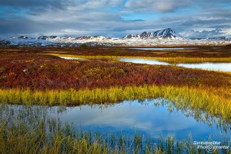 Icelandic Tundra Landscapes Iceland Europe Synnatschke Photography