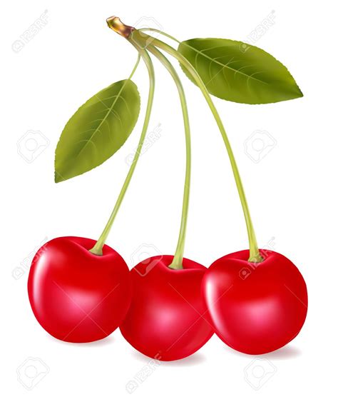 You can use these free cliparts for your documents, web sites, art projects or presentations. Cherry clipart three, Cherry three Transparent FREE for ...
