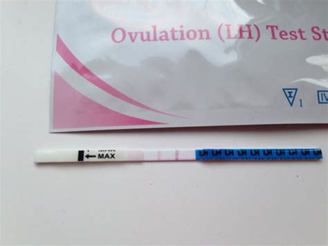 2 Faint Lines On Ovulation Test