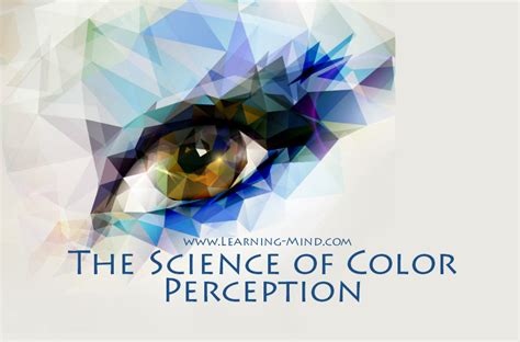 The Science Of Color Perception 3 Things That Influence The Way We See
