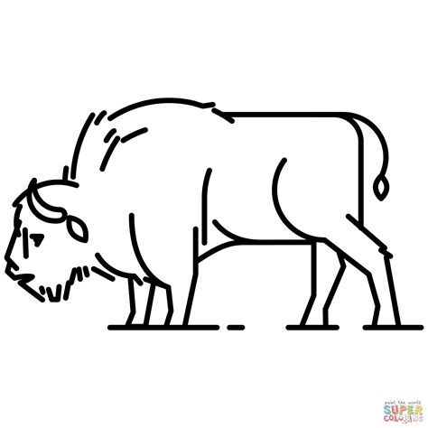 European Bison Coloring Page Free Printable Coloring Pages