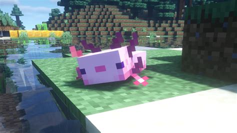 How To Tame Axolotls In Minecraft Pcgamesn