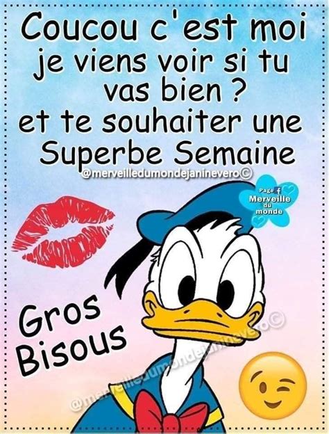 Pin By Mazef Anita On Bonne Semaine Humour Messages Love You